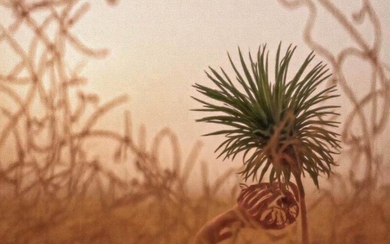 Jak zrobić zrzut ekranu w Samsung A40? Przewodnik krok po kroku