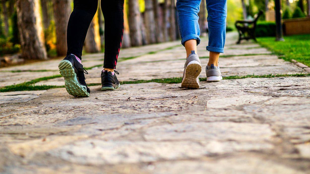 Dieta czy styl życia? Co faktycznie wpływa na zdrowie